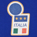 Escudo camiseta Italia 1994 Baggio